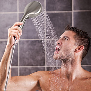 handheld showerhead