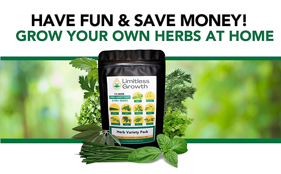 Grow your own herbs at home and save money