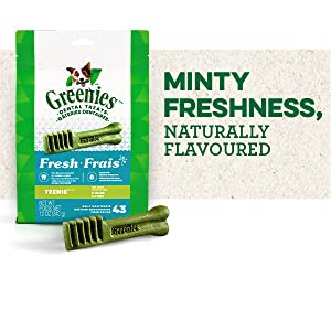 Minty Freshness, Naturally Flavoured, Greenies Fresh Dental Treats, Small Dog Treats, Tiny Dog