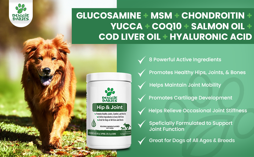 glucosamine for dogs