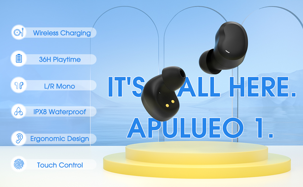 Wireless Earbuds with 36Hrs Playtime IPX8 Waterproof