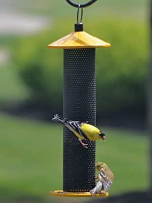 Cling and catch bird feeder, bird feeder, birds, tube feeder, heath, heath bird feeder, birding