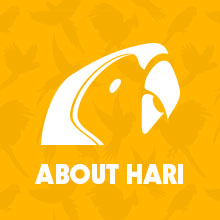 About HARI
