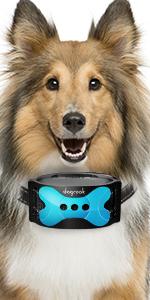 bark collar, anti bark collar, anti barking collar, dog bark collar