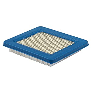 Briggs Air Filter