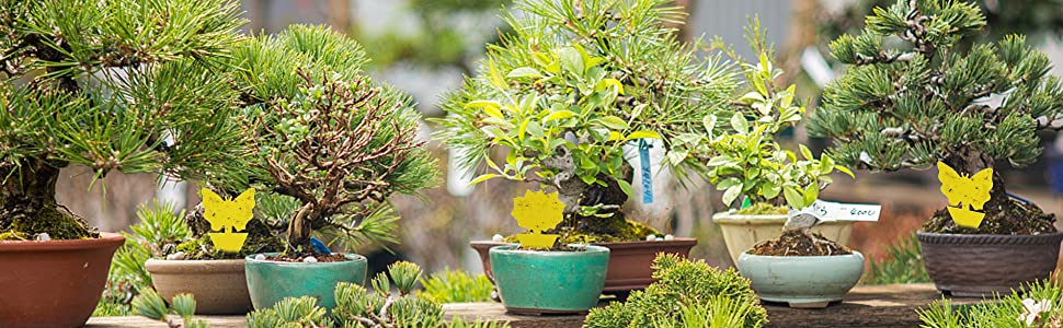 Yellow Sticky Traps Insect Catcher