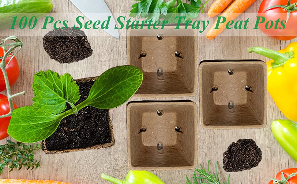 Seed Starter Tray