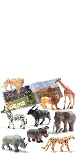 safari animals with book