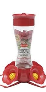 Pinch Waist Glass Hummingbird Feeder with Free Nectar