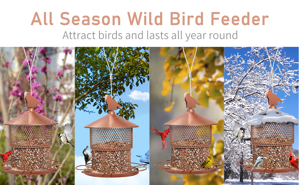 wild bird feeder for outdoor hanging 