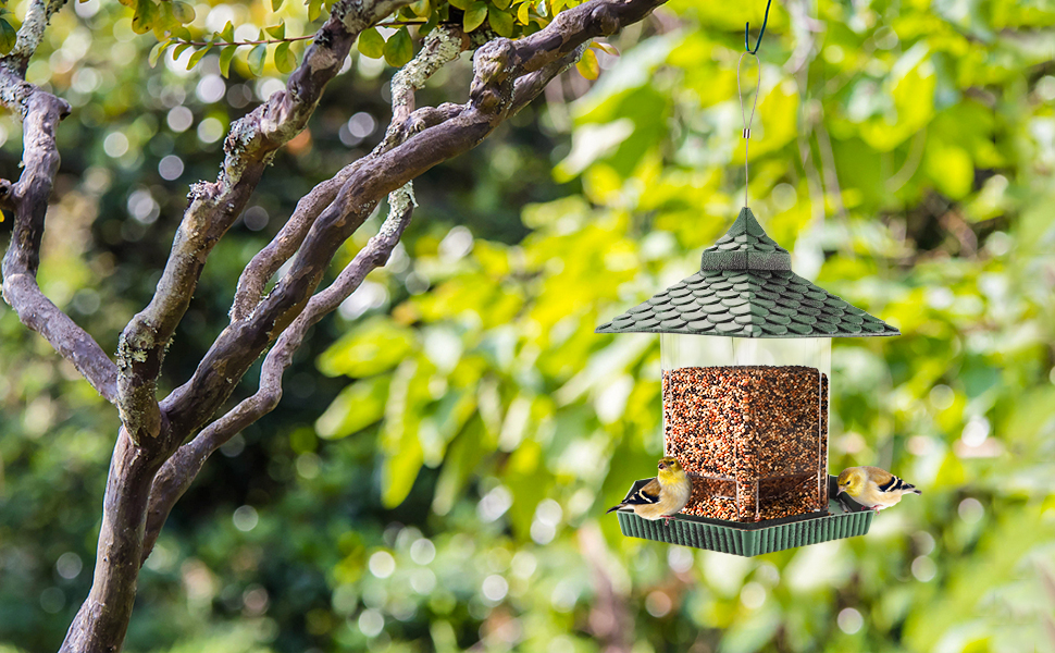 wild bird feeder