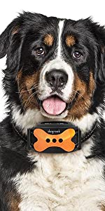 bark collar, anti bark collar, dog barking collar, anti barking collar