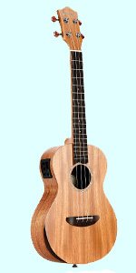 ukelele for beginners