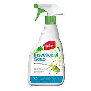 Kills destructive insects on contact
