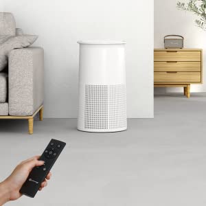 Dreamegg air purifier with remote control