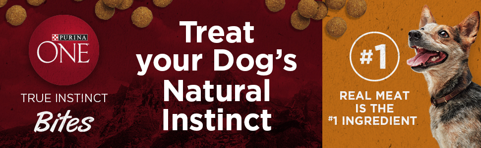 dog treats