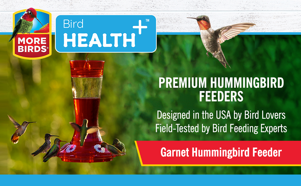 hummingbird feeders;hummingbird feeder;hummingbird feeders glass;hummingbird feeder glass