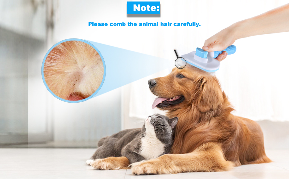 Hair removal for dogs in spare time