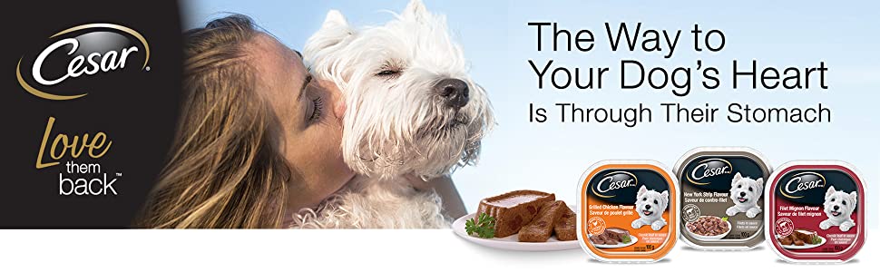 Way to your Dog?M?? Heart is through their Stomach, Love Them Back, Dog Food Wet, Chewy 