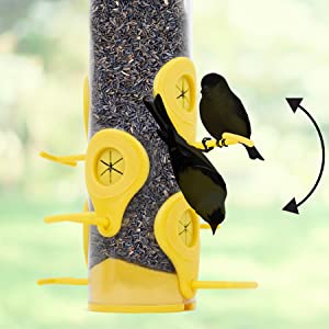 two way feeder, upside down feeding, finch feeder