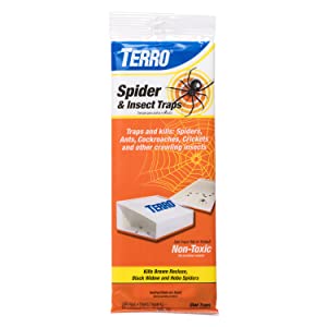 terro, spider trap, ant trap, flea trap, insect control, glue trap, glue tray, fold able glue trap