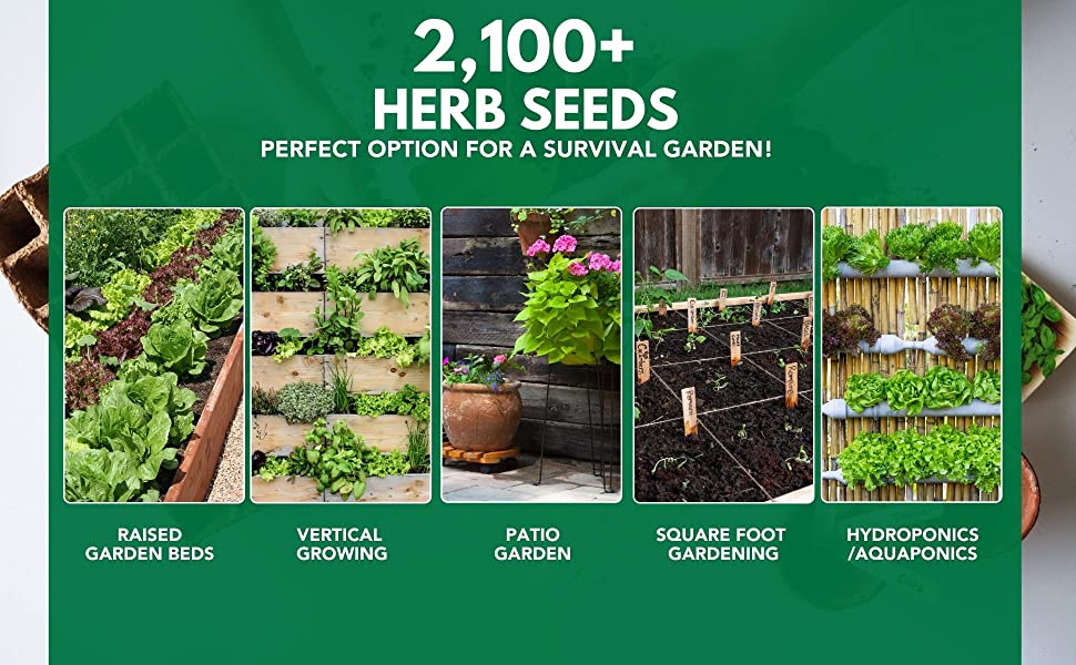 Herb seeds. Perfect option for a survival garden