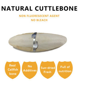 natural cuttlebones