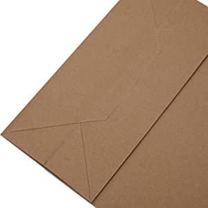 Kraft Paper Bags