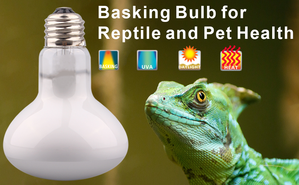 Reptile Heat Lamp Bulbs