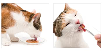 catit, cat treats, hydrating treats, lickable treats, catit creamy