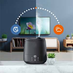 cool mist humidifier