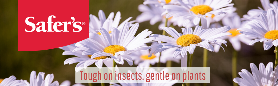 Tough on insects, gentle on plants