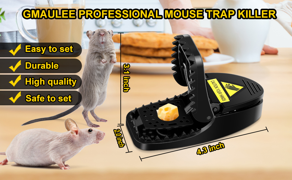 small mouse trap