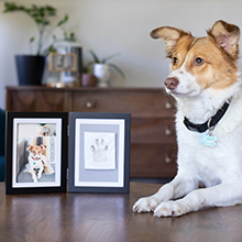 Pet pawprint frame sitting on table with dog next to it