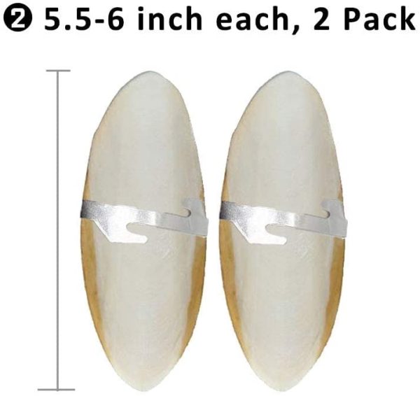 Mivofun Cuttlebone for Birds Parakeets Canaries Cockatiels Small Conures Mynahs Toucans African Greys All Parrots Snails Totoise,Natural Cuttlefish Bone with Holder for Bird Cage (5.5"-6"-2 Per Pack)