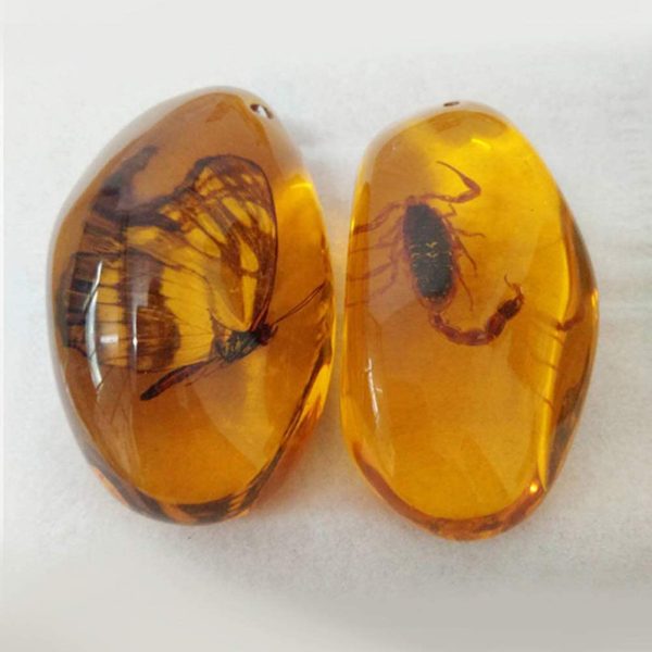 VORCOOL 5pcs Amber Fossil with Insects Samples Stones Crystal Specimens Home Decorations Collection Oval Pendant (Random Pattern) - Image 2