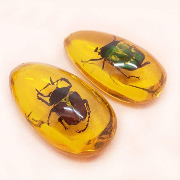 VORCOOL 5pcs Amber Fossil with Insects Samples Stones Crystal Specimens Home Decorations Collection Oval Pendant (Random Pattern) - Image 3