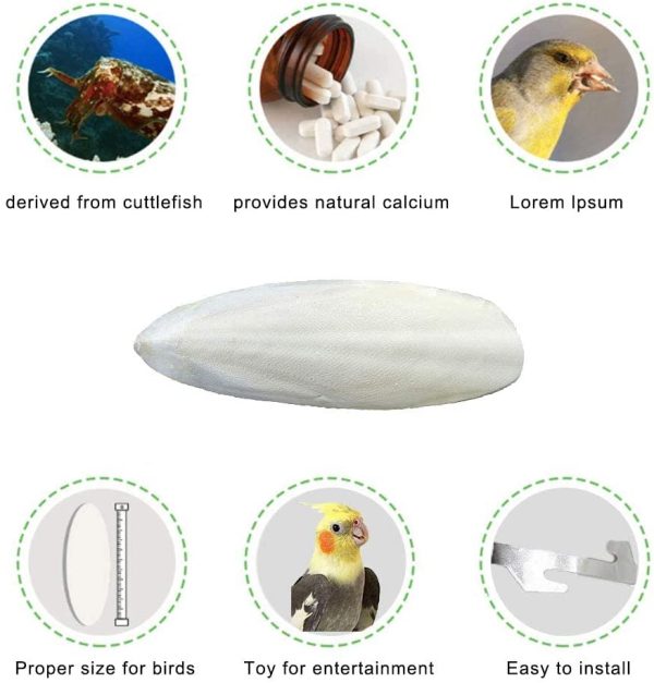 Mivofun Cuttlebone for Birds Parakeets Canaries Cockatiels Small Conures Mynahs Toucans African Greys All Parrots Snails Totoise,Natural Cuttlefish Bone with Holder for Bird Cage (5.5"-6"-2 Per Pack) - Image 4