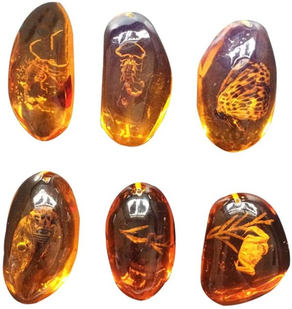 VORCOOL 5pcs Amber Fossil with Insects Samples Stones Crystal Specimens Home Decorations Collection Oval Pendant (Random Pattern) - Image 7