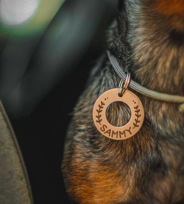 Andy&Dream Ring Dog Tag Donut Tag Circle Dog Tag Bagel ID Tag Pet dog tag dog ID Tag Personalized pet dog ID tag puppy tag Microchip Dog Tag dog ID Tag dog tag for dogs Custom Dog TagHandstamped Dog Tag Personalized Dog Tag for Dogs Cat Collar Tag Engraved Dog Name Tag - Image 8