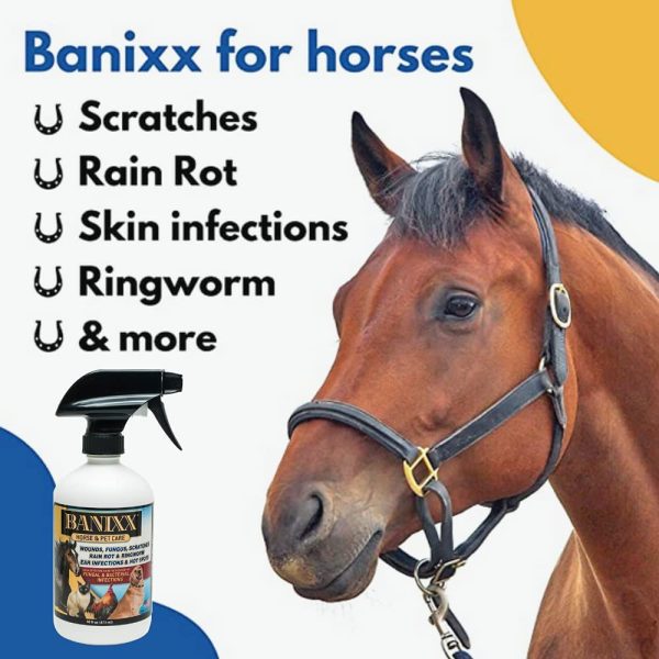 Banixx Horse and Pet Care 16 oz - Image 5