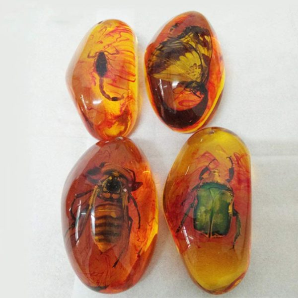 VORCOOL 5pcs Amber Fossil with Insects Samples Stones Crystal Specimens Home Decorations Collection Oval Pendant (Random Pattern) - Image 5