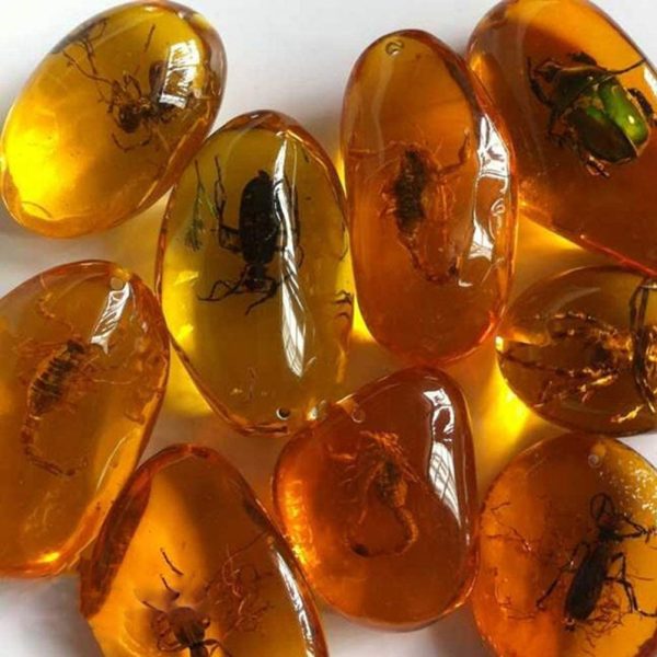 VORCOOL 5pcs Amber Fossil with Insects Samples Stones Crystal Specimens Home Decorations Collection Oval Pendant (Random Pattern) - Image 8