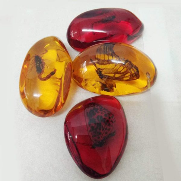 VORCOOL 5pcs Amber Fossil with Insects Samples Stones Crystal Specimens Home Decorations Collection Oval Pendant (Random Pattern) - Image 4