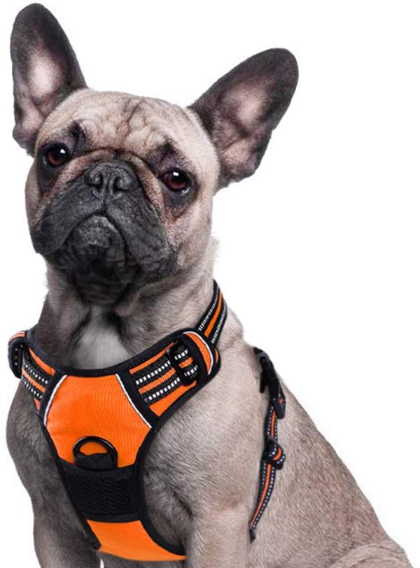 No Pull Dog Harness with Front Clip, Walking Pet Harness with 2 Metal Ring and Handle Reflective Oxford Padded Soft Vest for Small Medium Large Breed (Medium, Orange) - Image 4