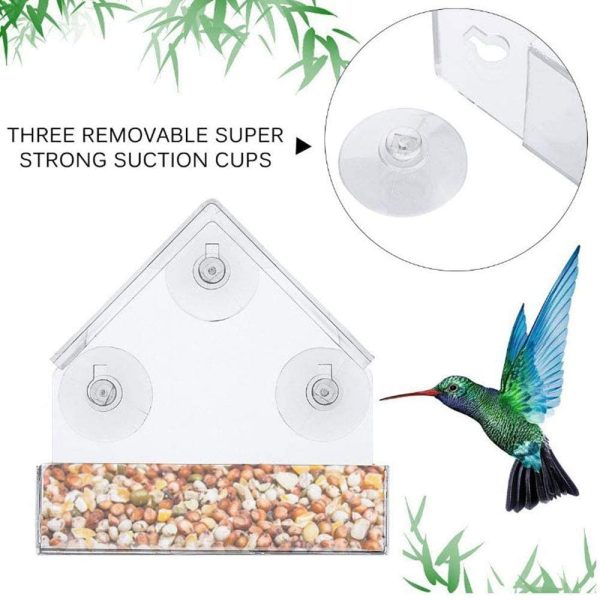 Bird Feeder, Window Bird House Crystal Clear Acrylic with Seed Tray, Drain Holes and 3 Strong Extra Suction Cups, Weatherproof Design, Squirrel Resistant, Drains Rain Water, Great Gift Idea for Nature Lovers - Image 6