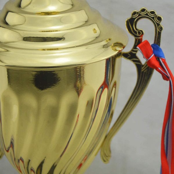 STOBOK Gold Trophy Cup Large Trophy for Sports Tournaments,Competitions, 24.5cm - Image 6