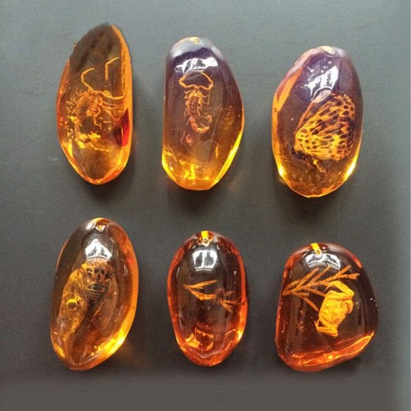 VORCOOL 5pcs Amber Fossil with Insects Samples Stones Crystal Specimens Home Decorations Collection Oval Pendant (Random Pattern)