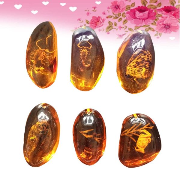 VORCOOL 5pcs Amber Fossil with Insects Samples Stones Crystal Specimens Home Decorations Collection Oval Pendant (Random Pattern) - Image 6