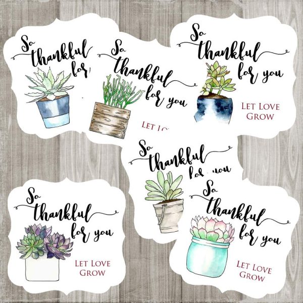 Succulent Plants So Thankful For You Favor Stickers - Wedding Bridal Baby Shower Party - Set of 30